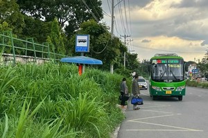 在守德市肿瘤医院第二分院对面的巴士站被杂草包围，乘客无处候车。