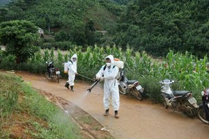 洪水过后喷洒消毒，清洁环境。