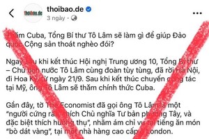 一些模糊、毫无根据的资讯蓄意破坏越南对外工作之努力。