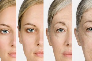 人体的器官和组织并非以相同的速度衰老。