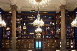 摩纳哥国家博物馆。