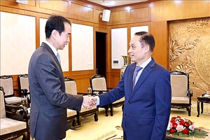 中央对外部长接见中国驻越南大使