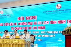 宁顺省加强与本市投资促进活动