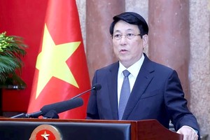 2024年12月7日简讯