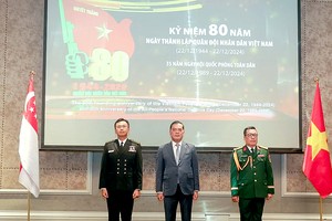 越南与新加坡防务合作全面发展