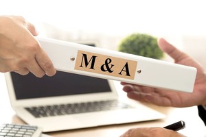 国内投资商在越南并购市场中发挥重要作用，从年初起占交易总值的53%。