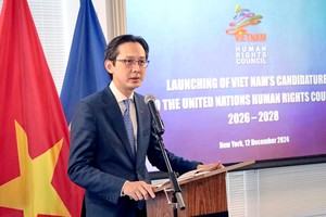 越南宣布继续竞选联合国人权理事会成员