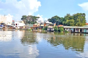 本市还有逾4万6000间河涌上与沿岸住房尚未开展且未有补偿、辅助与安置方案。