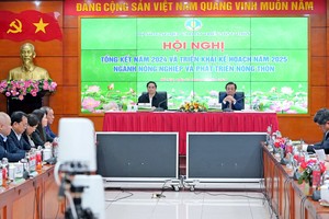 2024年12月28日简讯