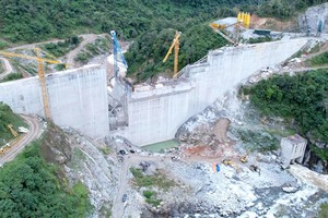 德迷１水电站停运以鉴定事故原因