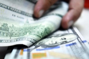 2024年本市侨汇达逾95亿美元