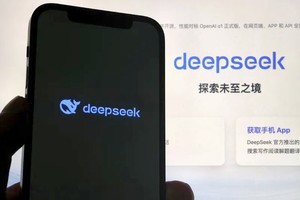 中国DeepSeek一炮而红