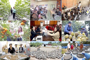 基于社会政策信贷资金，多个民户已成功发展各个经济模式并脱贫。