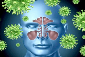 当挖鼻孔时，手部的病菌就会进入鼻腔。