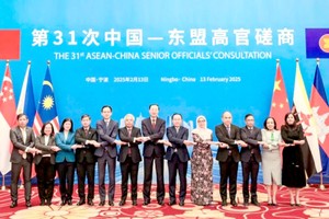 巩固对东盟-中国合作的信心和动力