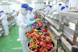 国内企业着力改进水果加工流程以期提升出口质量。