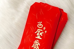 新年压岁钱