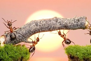 社会不会辜负努力拼搏的人