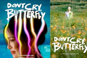 电影《蝴蝶，请别哭泣》的海报。