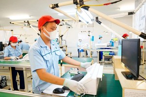 要把民营经济视为经济的主要支柱和主要推动力量。