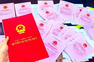 自今年起粉红簿不过名将被严处