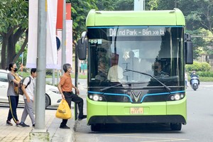 本市促进发展电动巴士。