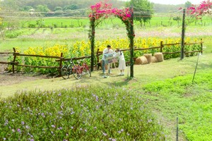 《缘》中的美丽外景让观众大饱眼福。