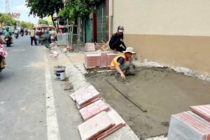 整饬人行道损害树木将被严惩