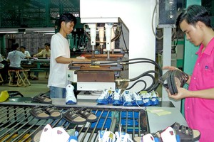 民营企业发展潜力大，但极为需要得到国家有效的辅助。