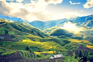 老街吸引众多国内外游客参观。