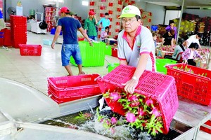 越中贸易：开创新合作空间