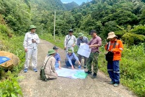 地质和矿产专家实地评价和圈定矿产资源区域。