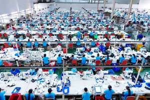 斯科特‧麦克唐纳博士 RMIT大学越南分校