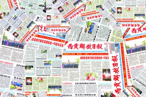 对华人同胞具有重要影响力的报纸