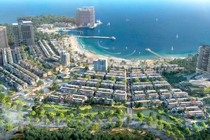 越南一绿色项目的总体配景图。