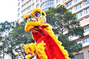 方济堂为本市精英的龙狮团之一，亦将参加本次公开赛。