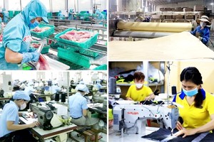 颁布促进民营经济发展行动计划