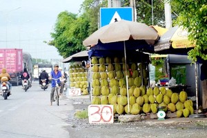 位于前江省１号国道路段的榴槤零售点。