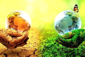 南非启动首个沿海气候变化适应计划