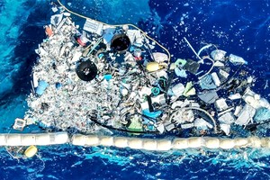 80% 地中海垃圾是塑料废弃物