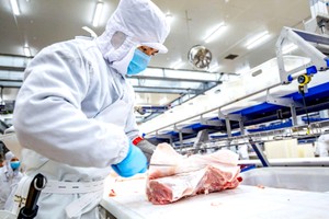 本市现有6个猪只屠宰单位，其中5个为集中式现代屠宰厂。