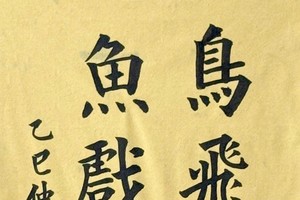 扬海书法作品欣赏