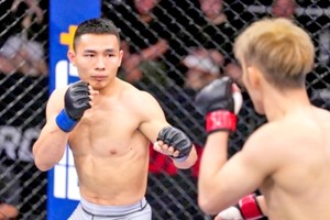 综合格斗狮王锦标赛是越南首个专注于综合格斗的职业赛事