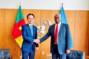 越南愿为冲突后和解与重建工作作出实质性贡献