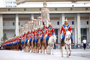 联合国设立“世界马日”