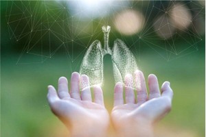 肺部健康是维持整体健身的重要部分。