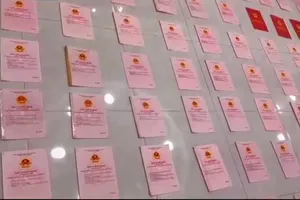 Thu giữ 80 sổ đỏ và nhiều tài sản khác của Ngân 98