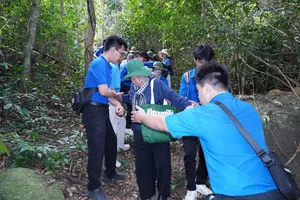 Ký ức đỏ từ mạch sông núi