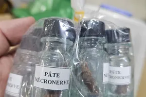 TPHCM: Triệt phá đường dây sản xuất, mua bán trái phép chất độc thạch tín dùng trong nha khoa