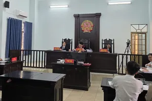 Phiên xét xử vụ kiện dân sự công ích đầu tiên tại TPHCM. Ảnh: SONG MAI